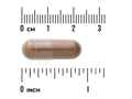 Swanson Full Spectrum Burdock Root 460 mg Capsules – 100 Count capsule size comparison with measurement scale