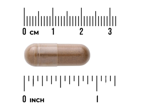 Swanson Full Spectrum Burdock Root 460 mg Capsules – 100 Count capsule size comparison with measurement scale
