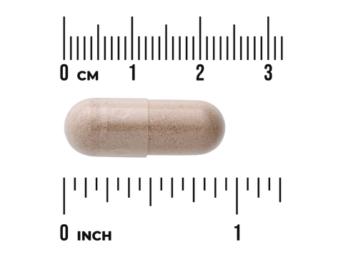 Swanson Full Spectrum Butea Superba Root 400 mg Capsules – 60 Count capsule size comparison with measurement scale