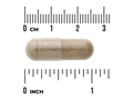 Swanson Full Spectrum Chanca Piedra 500 mg – 60 Veggie Capsules capsule size comparison with measurement scale