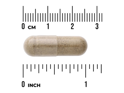 Swanson Full Spectrum Chanca Piedra 500 mg – 60 Veggie Capsules capsule size comparison with measurement scale