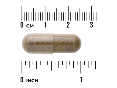 Swanson Full Spectrum Damiana 510 mg Capsules – 100 Count capsule size comparison with measurement scale