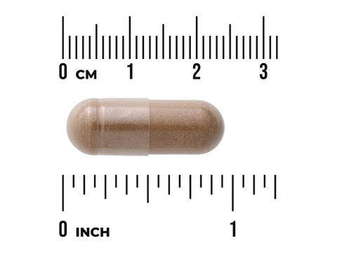 Swanson Full Spectrum Dong Quai 530 mg Capsules – 100 Count capsule size comparison with measurement scale