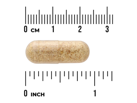 Swanson Full Spectrum Fenugreek Seed 610 mg Capsules – 90 Count capsule size comparison with measurement scale