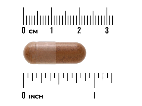 Swanson Full Spectrum Kola Nut Catuaba Guarana Capsules - 90 Count