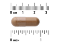 Swanson Full Spectrum Lions Mane Mushroom 500 mg Capsules – 60 Count capsule size comparison with measurement scale