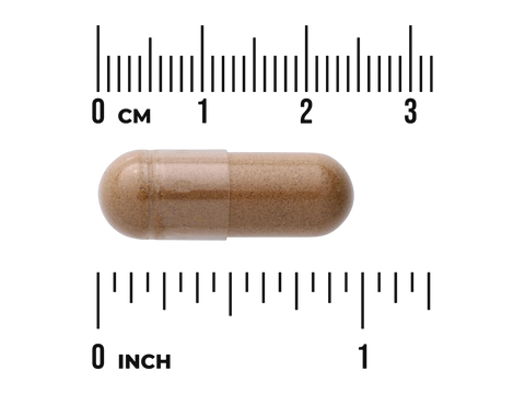 Swanson Full Spectrum Lions Mane Mushroom 500 mg Capsules – 60 Count capsule size comparison with measurement scale