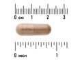 Swanson Full Spectrum Maca Root – 100 Vegan Capsules capsule size comparison with measurement scale