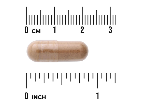 Swanson Full Spectrum Maca Root – 100 Vegan Capsules capsule size comparison with measurement scale
