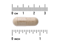 Beige capsule pill with a ruler for scale on a white background