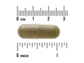 Swanson Full Spectrum Moringa Oleifera 400mg Capsule size