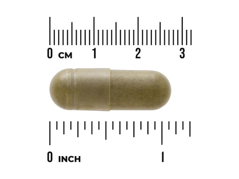 Swanson Full Spectrum Moringa Oleifera 400mg Capsule size