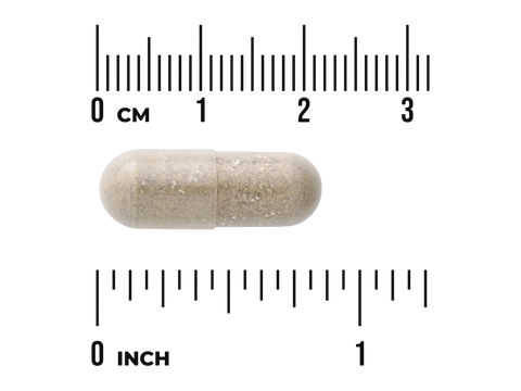 Swanson Full Spectrum Mucuna Pruriens 400 mg – 60 Capsules capsule size comparison with measurement scale