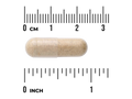 Swanson Full Spectrum Muira Puama 400 mg – 90 Capsules capsule size comparison with measurement scale