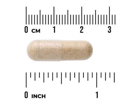Swanson Full Spectrum Muira Puama 400 mg – 90 Capsules capsule size comparison with measurement scale