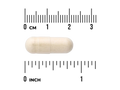 Wooden pill with measurement scale on a white background