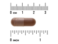 Swanson Full Spectrum Raw Cocoa 400 mg Capsules – 60 Count capsule size comparison with measurement scale