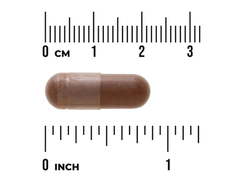 Swanson Full Spectrum Raw Cocoa 400 mg Capsules – 60 Count capsule size comparison with measurement scale