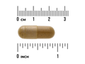 Swanson Full Spectrum Turmeric Astragalus Gotu Kola Complex Capsule size