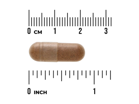 Brown capsule with a ruler for scale on a white background