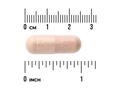 Wooden pill with a ruler for scale on a white background