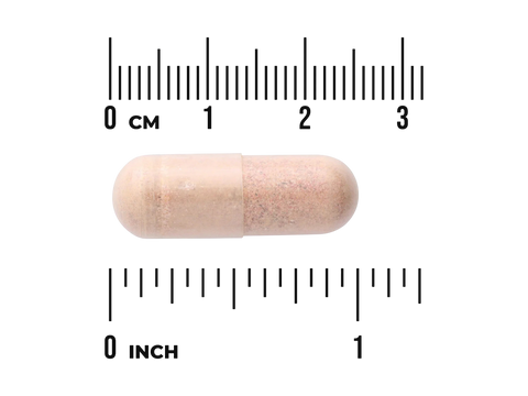Wooden pill with a ruler for scale on a white background