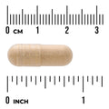 Swanson Maca Root Supplement – 500 mg, 4:1 Extract – 60 Capsules capsule size comparison with measurement scale