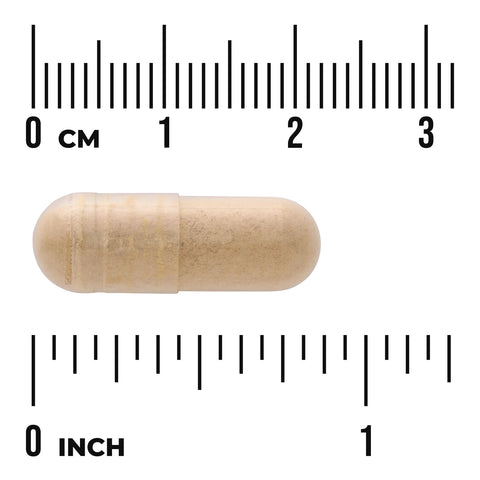 Swanson Maca Root Supplement – 500 mg, 4:1 Extract – 60 Capsules capsule size comparison with measurement scale