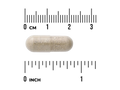 Pill with a ruler showing its size in centimeters and inches on a white background
