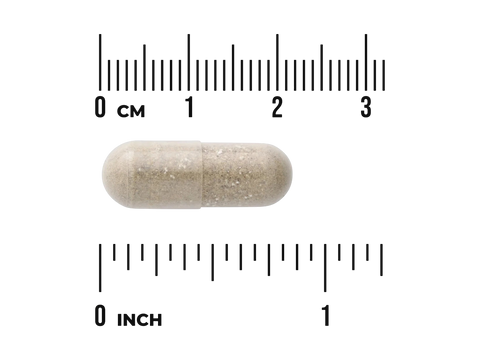 Pill with a ruler showing its size in centimeters and inches on a white background