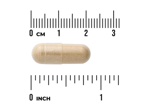 Wooden capsule with a ruler for scale on a white background