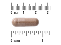 Swanson Saw Palmetto Capsules – Full Spectrum, 540 mg – 250 Count capsule size comparison with measurement scale