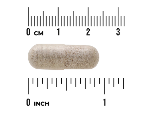Swanson Sea Cucumber 500 mg Capsules – 100 Count capsule size comparison with measurement scale