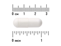 White capsule pill with a ruler for scale on a white background