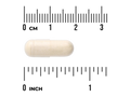 Swanson SelenoExcell Selenium 200 mcg – 60 Capsules capsule size comparison with measurement scale