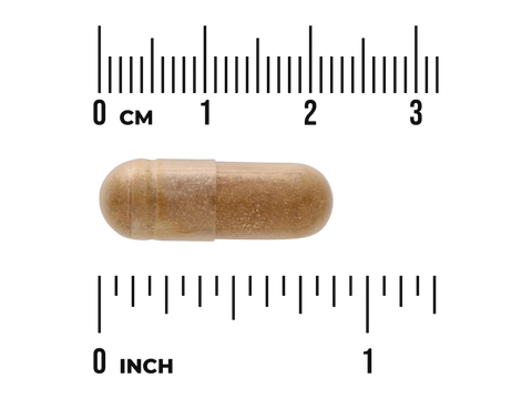 Swanson Shilajit Extract 400 mg Fulvic Acid – 60 Veggie Capsules capsule size comparison with measurement scale