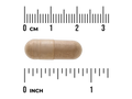 Swanson St. John's Wort Herb 375 mg – 120 Vegan Capsules capsule size comparison with measurement scale