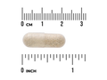 Beige pill with a ruler for scale on a white background