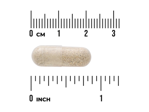Beige pill with a ruler for scale on a white background