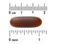 Swanson Sunflower Lecithin Softgels – 90 Count softgel size comparison with measurement scale