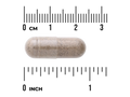 Swanson Valerian Root Extract Capsules – 120 Count capsule size comparison with measurement scale