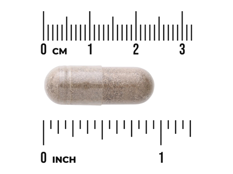 Swanson Valerian Root Extract Capsules – 120 Count capsule size comparison with measurement scale