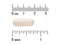 White capsule pill with a ruler for scale on a white background