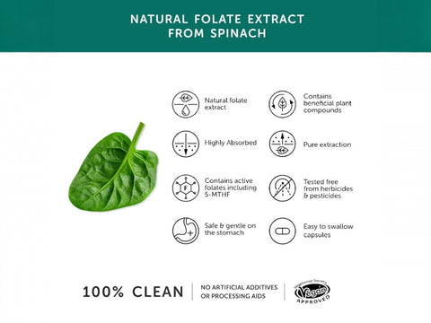 Together Health Folate 400 mcg from Spinach 30 Capsules folate nutrient product information panel