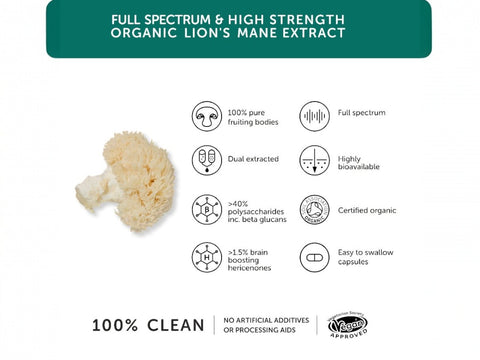Together Health Lion’s Mane Mushroom Supplement 60 Capsules mushroom extract product information panel
