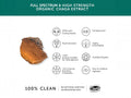 Together Health Organic Chaga 900 mg Dual Extract 60 Vegan Capsules mushroom extract product information panel