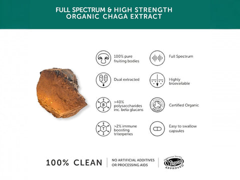 Together Health Organic Chaga 900 mg Dual Extract 60 Vegan Capsules mushroom extract product information panel