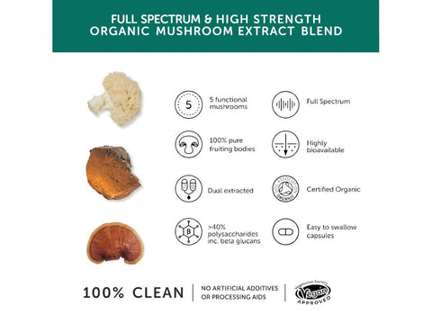 Together Health Organic Mushroom Complex 5 60 Capsules mushroom blend product information panel