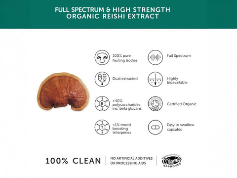 Together Health Organic Reishi Mushroom Supplement 800mg 60 Capsules full spectrum organic reishi extract product information panel