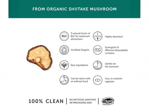 Together Health Organic Vitamin B12 from Mushrooms 20 mcg 30 Capsules vitamin B12 nutrient product information panel